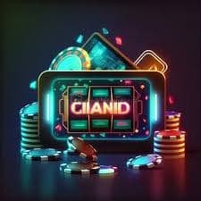xin89